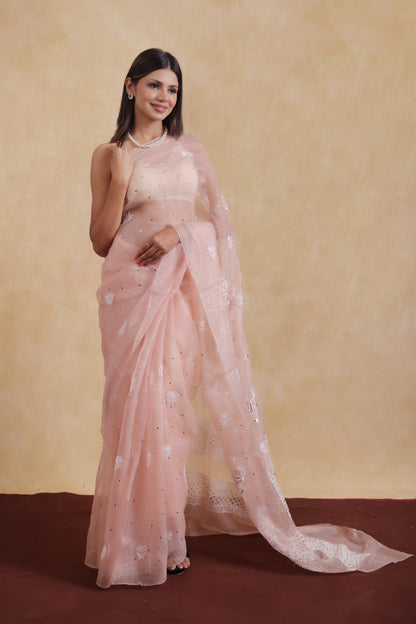 SAREE | Pure Organza Silk Saree